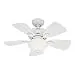 Hunter Fan Company 52089 Watson 34-Inch Snow White Ceiling Fan with Five Snow White/Bleached Oak Blades and a Light Kit