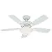 Hunter Fan Company 52080 Caraway 44-Inch Snow White Ceiling Fan with Five Snow White Blades and a Light Kit