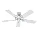 Hunter Fan Company 53103 The Savoy 52-Inch Ceiling Fan with Five White/Light Oak Blades, White