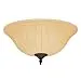 Hunter Fan Company 99157 Tea Stain Bowl Light Kit