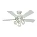 Hunter Fan Company 53081 The Beacon Hill 42-Inch Ceiling Fan with Five White/Light Oak Blades with Light Kit, White