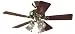 Hunter 20430 Beacon Hill Three-Light 42-Inch Five-Blade Ceiling Fan, Antique Brass with Clear Globes