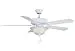 Fanimation BP220MW-220 52-Inch Aire Decor Builder 5-Blade Ceiling Fan with 220-Volt Bowl Light Kit, Matte White