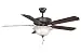 Fanimation BP225OB-220 52-Inch Aire Decor Builder 5-Blade Ceiling Fan with 220-Volt Bowl Light Kit, Oil Rubbed Bronze