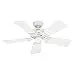 Hunter Fan Company 52065 Hudson 42-Inch Ceiling Fan with Five White/Light Oak Blades, White
