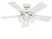 Hunter 51010 Southern Breeze 42-inch White Ceiling Fan with Five White/Bleached Oak Blades and Frosted Glass Light Kit