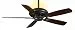 Casablanca Fan Company C31U73Z Holliston 60-Inch Ceiling Fan, Oil-Rubbed Bronze Finish with Walnut Blades