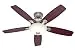 Hunter 25120 Eco-Air 52-Inch Single Light 5-Blade Ceiling Fan, Brushed Nickel with 5 Cherry/Black Blades and Frosted Glass Light Bowl