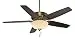 Casablanca 54025 Concentra Gallery 54-Inch 5-Blade Single Light Ceiling Fan, Antique Brass with Clove/Smoked Walnut Blades and Champagne Scavo Glass Bowl Light