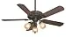 Casablanca 54006 Ainsworth Gallery 54-Inch 5-Blade 3-Light Ceiling Fan, Onyx Bengal with Distressed Walnut/Dark Walnut Blades and Toffee Glass Light Globes