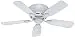 Hunter 51059 Low Profile IV 5-Blade Ceiling Fan, 42-Inch, White