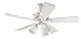 Hunter 20436 Beacon Hill Three-Light 42-Inch Five-Blade Ceiling Fan, White with Frosted Globes