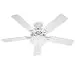 Hunter 22461 Astoria 52-Inch Five Blades Ceiling Fan, White with Frosted Globe