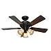 Hunter 53082 The Beacon Hill 42-Inch Ceiling Fan with Five Walnut/Cherry Blades and Light Kit, New Bronze