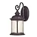 Westinghouse 6230600  New Haven One-Light Exterior Wall Lantern  on Steel with Clear Seeded Glass,  Oil Rubbed Bronze Finish
