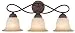 Hardware House 10-1059 Bennington 3-Light Bath or Wall Light, Antique Bronze