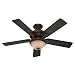 Hunter Fan Company 53029 Vernazza 52-Inch Ceiling Fan with Five Aged Barnwood/Rustic Lodge Blades and Light Kit, Brushed Cocoa