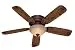 Hunter 53014 Palatine 5-Blade Single Light Ceiling Fan with Knotted Cedar/Peppered Walnut Blades and Tea Stain Glass Light Bowl, 52-Inch, Old Walnut Finish