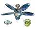 Hunter Space Discovery 48 in. Brushed Nickel Ceiling Fan with Earth Light & Moon Blades