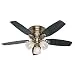 Hunter Fan Company 52085 Hatherton 46-Inch Antique Brass Ceiling Fan with Five Black Oak/Dark Walnut Blades and a Light Kit