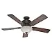 Hunter Fan Company 54092 Matheston 52-Inch Onyx Bengal Ceiling Fan with Five Burnished Alder/Alder Blades and a Light Kit