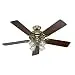Hunter Fan Company 53066 Studio Series 52-Inch Ceiling Fan Finish with Five Walnut/Medium Oak Blades and Light Kit, Bright Brass