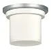 Fanimation LK4620SN Zonix Light Kit, Opal Glass, Satin Nickel