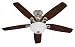 Hunter 53090 Builder Deluxe 5-Blade Single Light Ceiling Fan with Brazilian Cherry/Stained Oak Blades and White Cased Glass Light Bowl, 52-Inch, Brushed Nickel