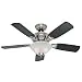 Hunter Fan Company 52081 Caraway 44-Inch Brushed Nickel Ceiling Fan with Five Burnt Walnut/Roasted Walnut Blades and a Light Kit