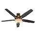 Hunter Fan Company 54061 Valerian 60-Inch Bronze Patina Ceiling Fan with Dark Walnut/Roasted Walnut Blades and a Light Kit