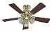 Hunter 20434 The Beacon Hill Three-Light 42-Inch Five-Blade Ceiling Fan, Bright Brass with Clear Globes